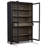 Dynetta Accent Cabinet