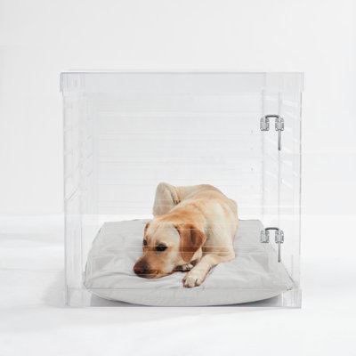 Large Clear View Pet Crate with Silver Latch