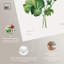 Art Remedy, impressions sur toile, géranium, 1827-111155093-111155101