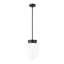 Luminaire suspendu 1 lumière Patrisio-962248147-962248145