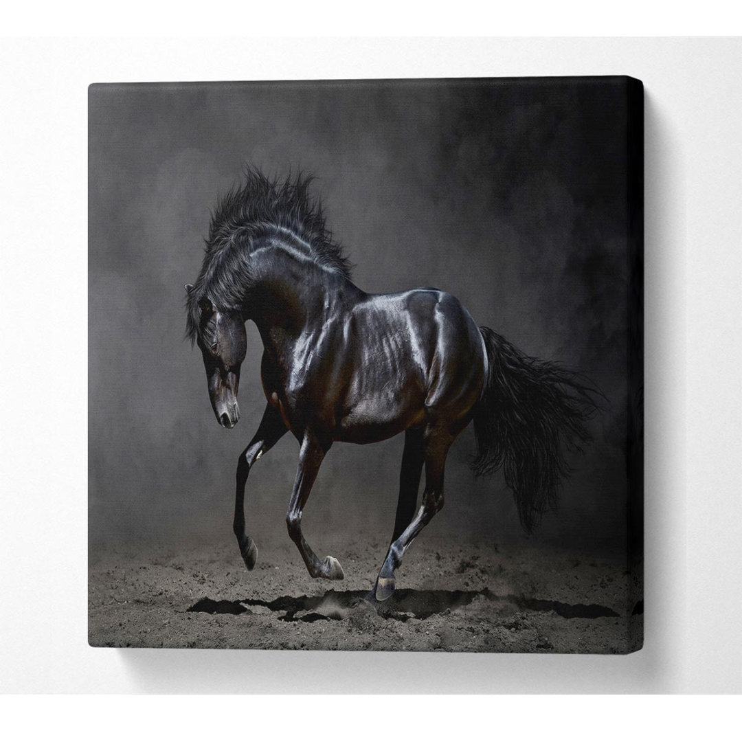 Buckner Black Beauty Horse - Kunstdrucke auf Leinwand