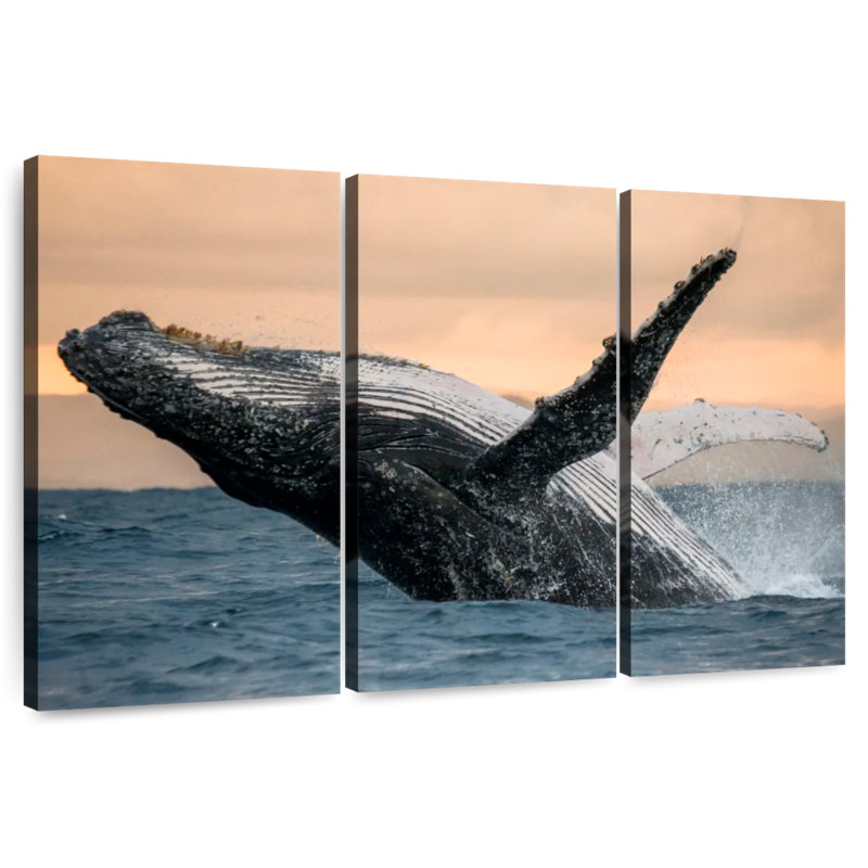 Brampt Humpback Whale Toss, 48" H x 74" W