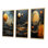 «Yellow Black Neptune Saturns Sonata», 3 pièces sur toile