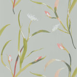 Saona Wallpaper