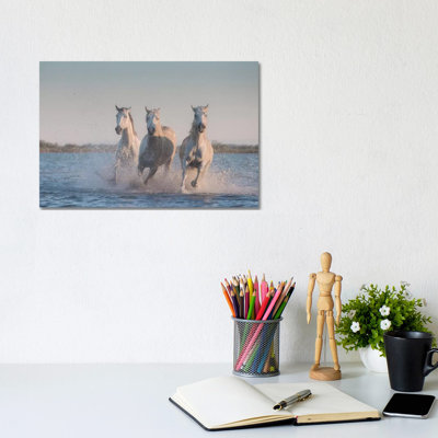White Angels Of Camargue VIII by Daniel Kordan - Wrapped Canvas Print