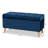 Velvet Ottoman-1630420222