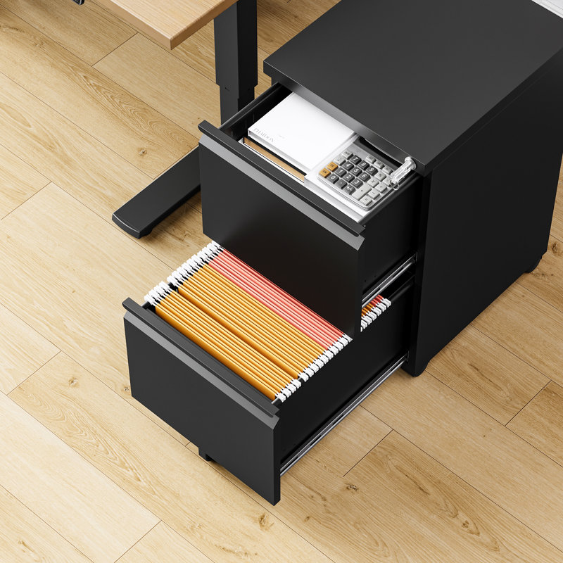 Kristoher 2-Drawer Mobile Vertical Filing Cabinet(Fully Assembled), Black (Fully Assembly)