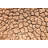 Parched Soil During The Drought by Luchschen - Wrapped Canvas Print-631861845