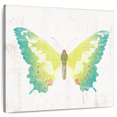 Papillon de grange blanche Brampt III