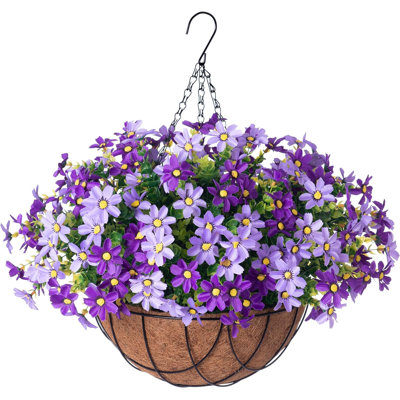Arrangement de marguerites