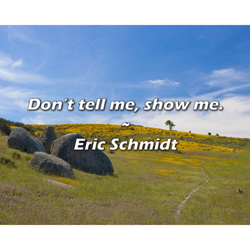 Citation artistique «Ne me dis pas, montre-moi». Toile tendue par Eric Schmidt, H 33 po x l 48 po