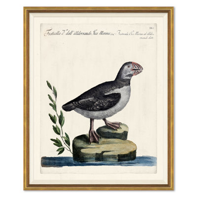 «Odd Birds», peinture