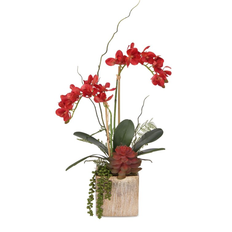 Primrue Silk Orchid Arrangement in Pot | Wayfair