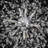 Ambera 12 - Light Dimmable Modern Crystal Dandelion Firework Sputnik Sphere Chandelier-1639055008