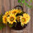 Wall-Mounted Artificial Flower