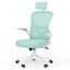 Ergonomic Mesh Office Chair with Adjustable Headrest, Swivel Desk Chair with Flip-Up Arms-536745909