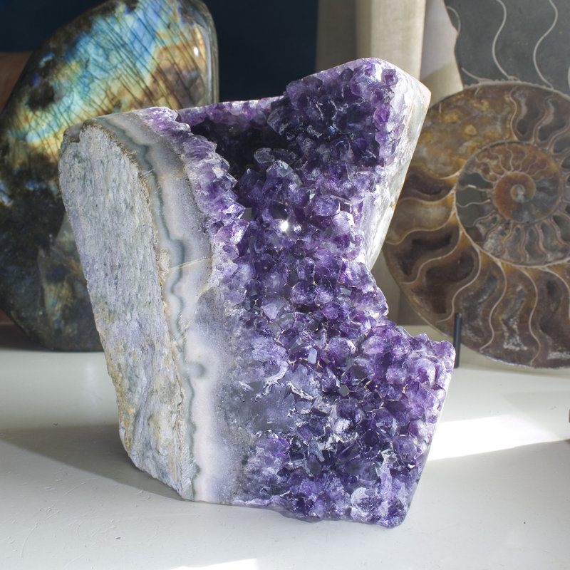 Dynamic, Cut Base Amethyst Geode