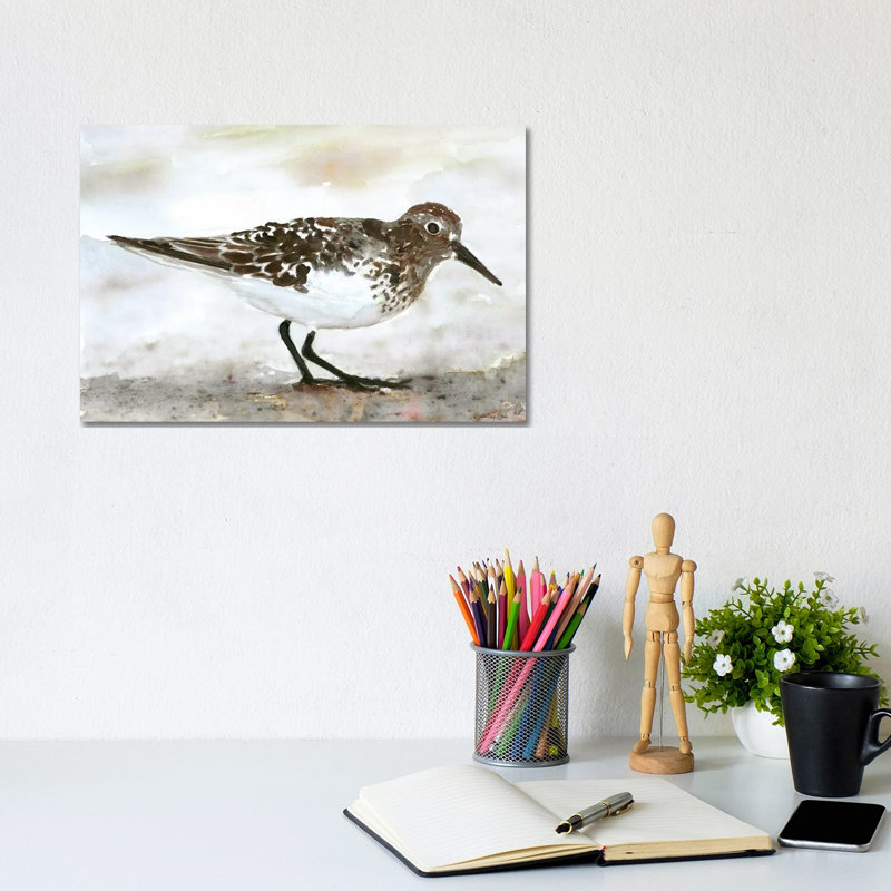 Sandpiper I by Stellar Design Studio - Painting on Canvas, 20.32 cm H x 30.48 cm W, Wrapped Canvas