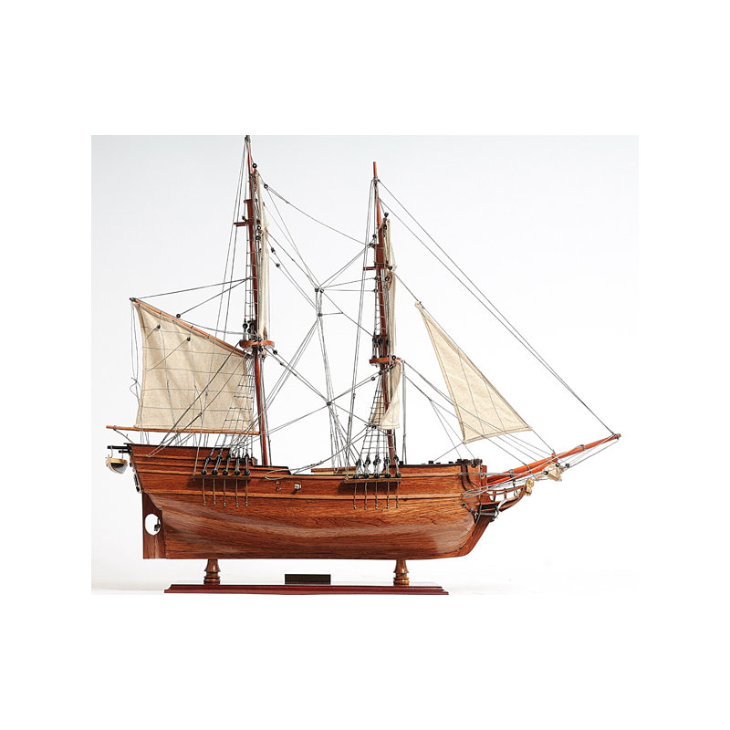 Bateau pour le modèle lady washington