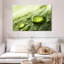 Harnek Dewdrops sur feuille verte-108694533