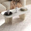 Table basse élégante, couleur grès et travertin, 47,2 po x 16,3 po x 23,4 po | 100% panneau de particules enduit de mélamine, épaisseur: 0,7 pouce | Conception durable et élégante, parfaite pour le salon et les décors modernes-486838244-486838255