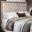 Aleeza Upholstered Bed-1774978759-1774978753