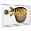 Pufferfish by M.E. Bloch - Wrapped Canvas-55322500