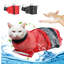 Accessoires de contention pour chat multifonctionnel-120975158