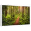 Washington Rainforest-1407719695-1407719692