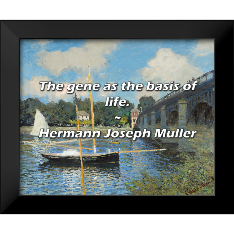 Hermann Joseph Muller Citation: Le gêne comme base de la vie.