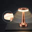 Metal Novelty Lamp-70540047
