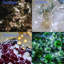 Guirlande de Noël 65,6 pi-564271666