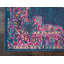 Abbate Oriental Navy Blue/Pink Area Rug-442423513