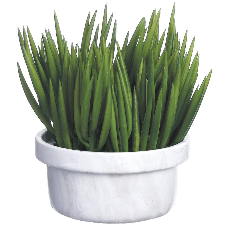 11'' Faux Foliage Plant in Terracotta Pot