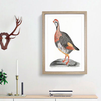 A Partridge by Johan Teyler - Framed Print