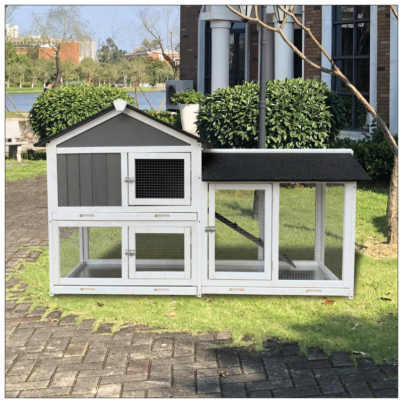 Cage à lapins en bois pour l'extérieur avec plateau amovible, durable et facile à nettoyer pour le confort des animaux de compagnie