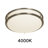 Arjit Flush Mount-223846990-223846989