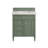 Dussault 30'' Single Bathroom Vanity with Top-1221074182-1214717752-1301693242