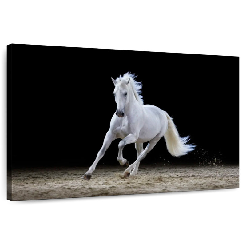 Brampt Galloping White Stallion, 32" H x 48" W