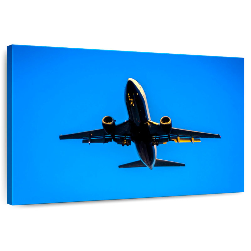 Mehar Boeing 737 Plane, 30" H x 45" W