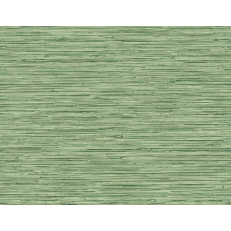 Rouleau de papier peint L 27 pi x l 27 po Harwell, Vert