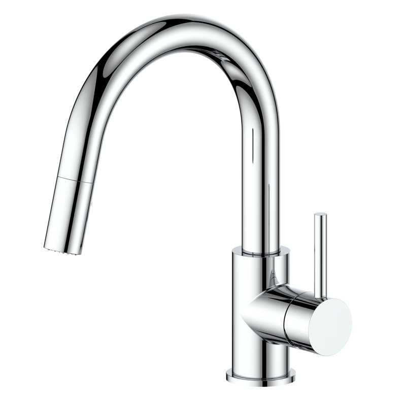 Dante Pull Down Single Handle Kitchen Faucet with Side Spray and Accessories, Chrome