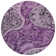 Segin Area Rug with Non-Slip Backing