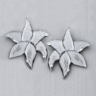 Flat Wall Mirror with Hooks