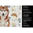 Red and White Siberian Husky Coffee Bar Kitchen Towel-1168063054
