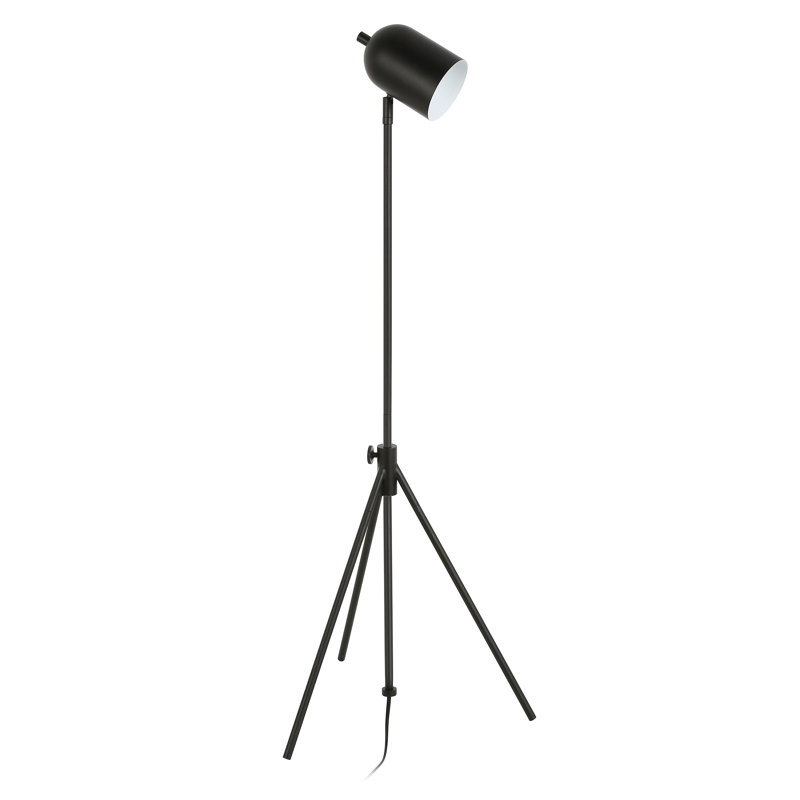 Alexa 56'' Tripod Floor Lamp, Blackened Bronze