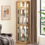 Vitrine de coin lumineuse - Vitrine de salon, objets de collection antiques, rangement pour verres à vin et à bar - Design élégant d'angle avec lumières incluses - chêne