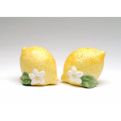 Ensemble poivre et sel citron Cosmos