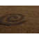 Collum Area Rug