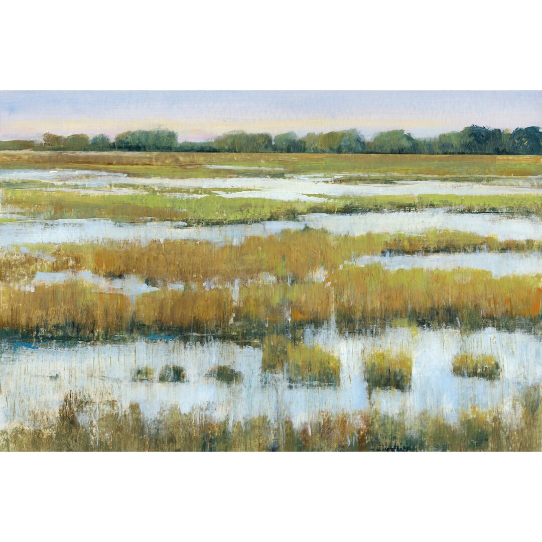 Leinwandbild Serene Marshland I von Timothy O' Toole